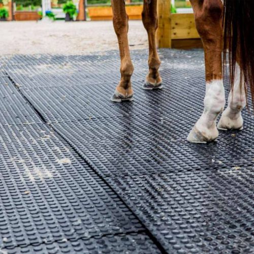 Partner Highlight NWR Red Barn brand creates innovative rubber mats for horses Tire