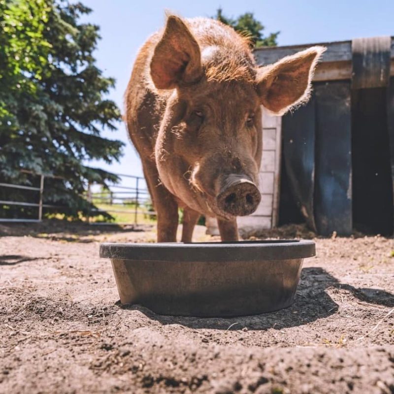 How Tire Recycling in BC Drives a Circular Economy